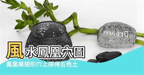 紫鳳凰風水|風水基礎知識